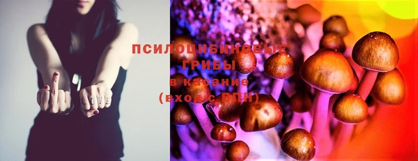 бошки Вяземский