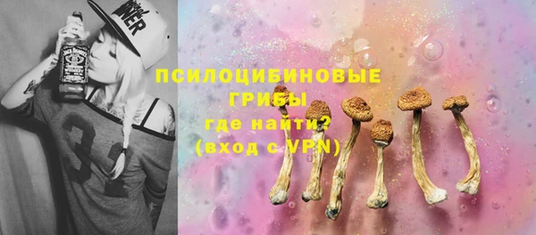 шишки Вязьма