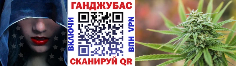 Конопля сатива Макарьев